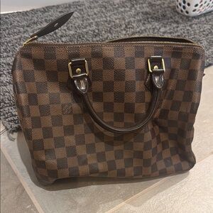 Louis Vuitton Damier Speedy Checkered Tote